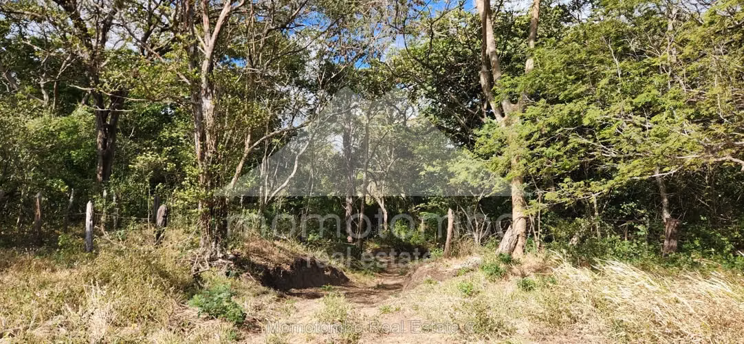 Finca en Venta , Belen