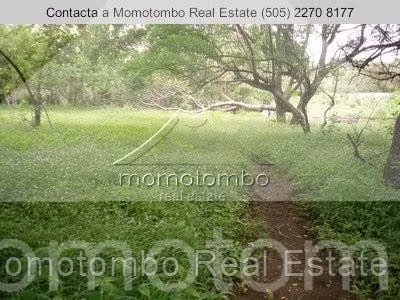 Terreno en Venta Las Colinas Sur, Managua - Imagen 3