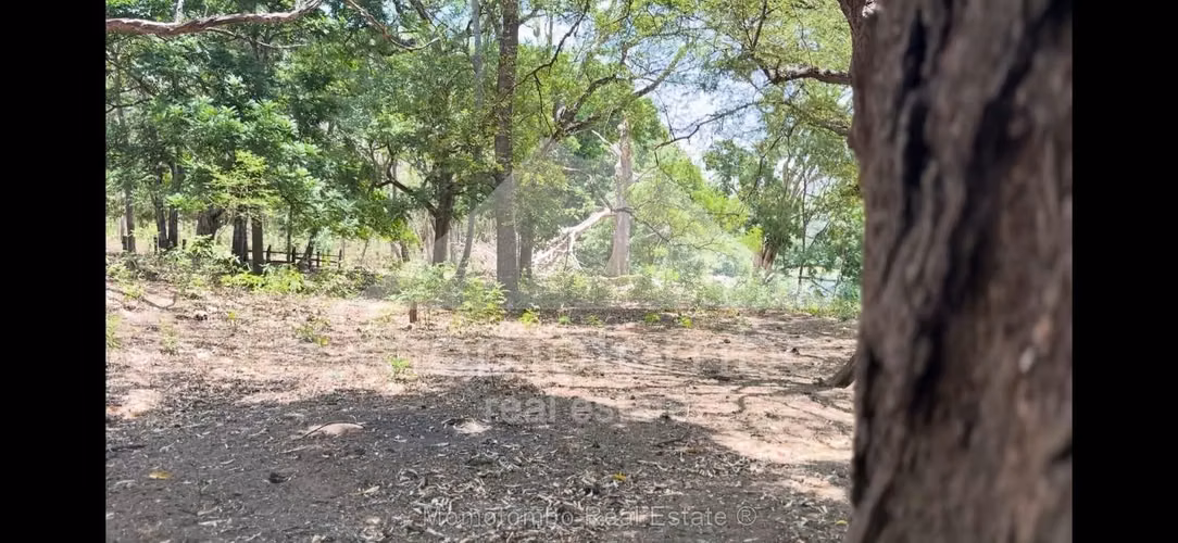 Finca en Venta &amp; Renta Jinotepe, Jinotepe