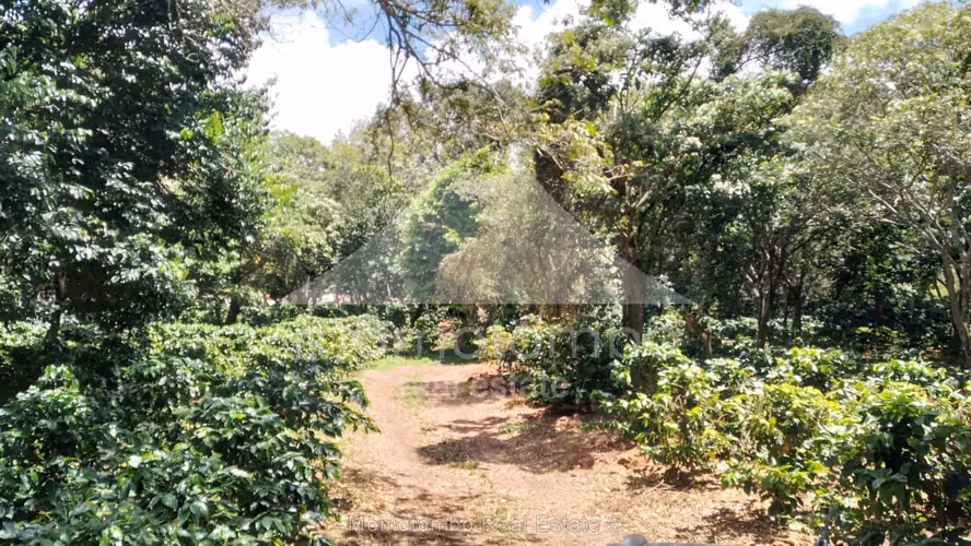 Finca en Venta Diriamba, Diriamba