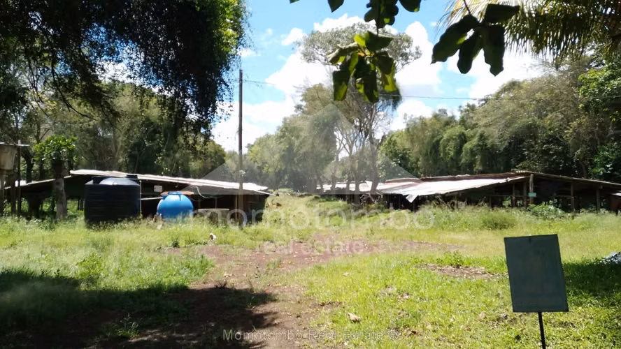 Finca en Venta Diriamba, Diriamba