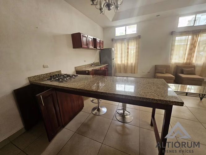 APARTAMENTO AMUEBLADO EN RENTA – A 3 MINUTOS DE GALERÍAS SANTO DOMINGO - Imagen 4