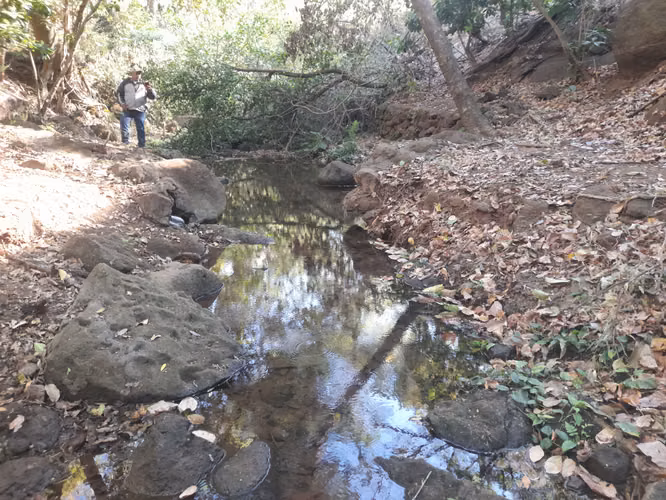 SE VENDE FINCA DE 34 MANZANAS.