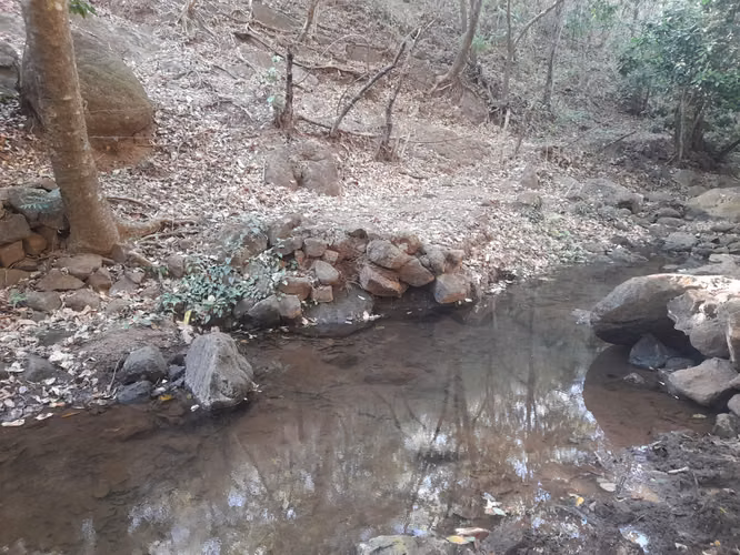 SE VENDE FINCA DE 34 MANZANAS.