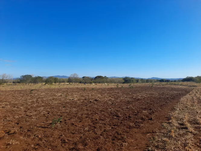 SE VENDE FINCA DE 34 MANZANAS.