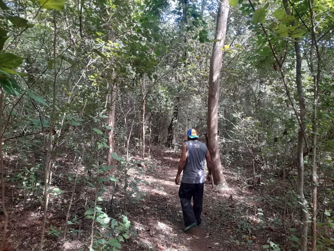 SE VENDE FINCA DE 37 MANZANAS. - Imagen 8