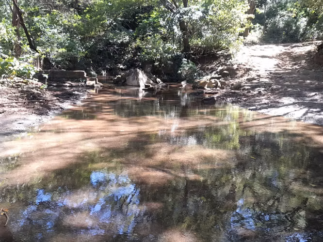 SE VENDE FINCA DE 37 MANZANAS.