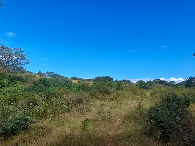 SE VENDE FINCA DE 37 MANZANAS. - Imagen 10