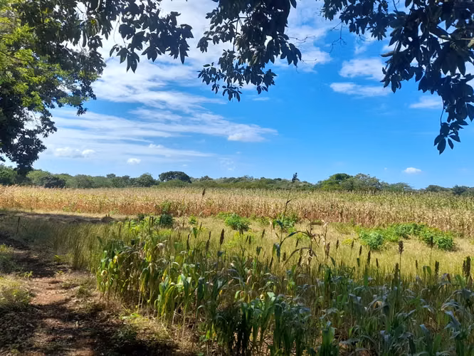 SE VENDE FINCA DE 37 MANZANAS. - Imagen 12