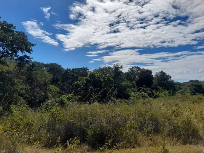 SE VENDE FINCA DE 37 MANZANAS. - Imagen 3