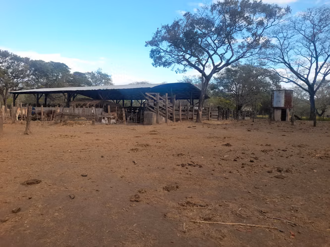 SE VENDE FINCA GANADERA DE 120 MANZANAS.