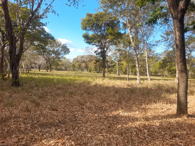 SE VENDE FINCA GANADERA DE 120 MANZANAS.