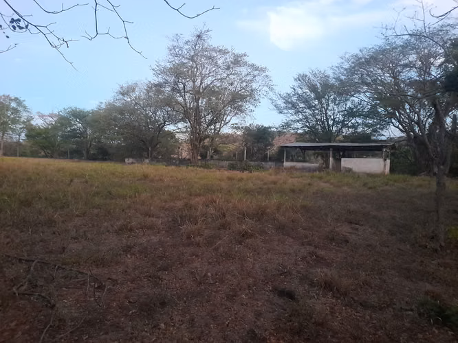 SE VENDE FINCA GANADERA DE 120 MANZANAS.