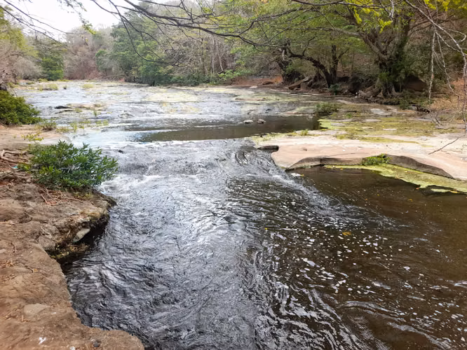 SE VENDE FINCA GANADERA DE 120 MANZANAS.