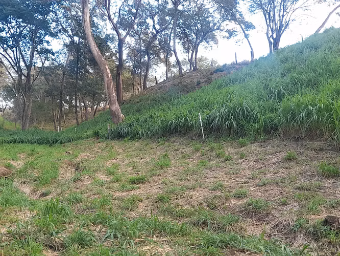 SE VENDE FINCA GANADERA DE 120 MANZANAS.