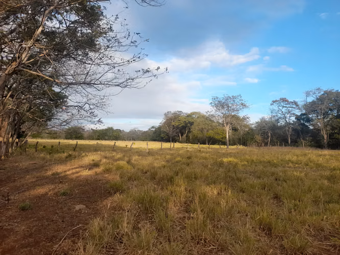SE VENDE FINCA GANADERA DE 120 MANZANAS.