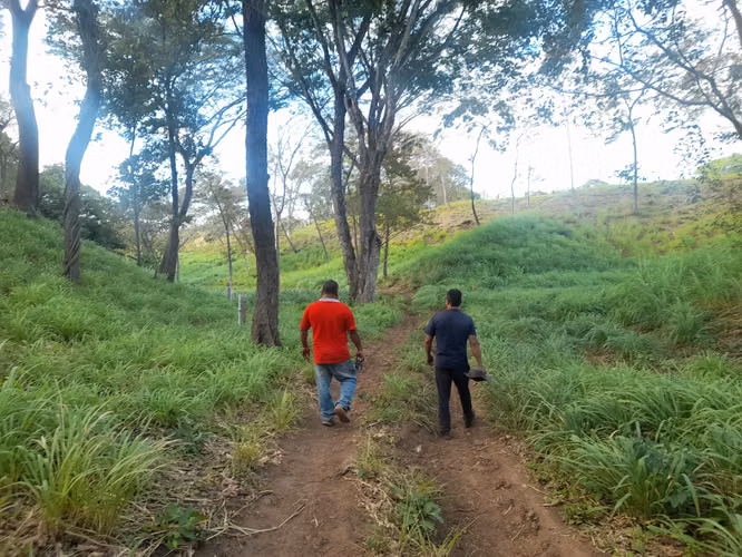 SE VENDE FINCA GANADERA DE 120 MANZANAS.