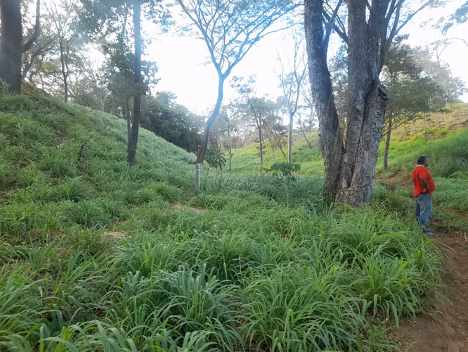 SE VENDE FINCA GANADERA DE 120 MANZANAS.
