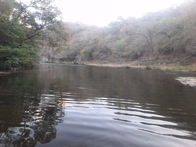 SE VENDE FINCA GANADERA DE 120 MANZANAS.