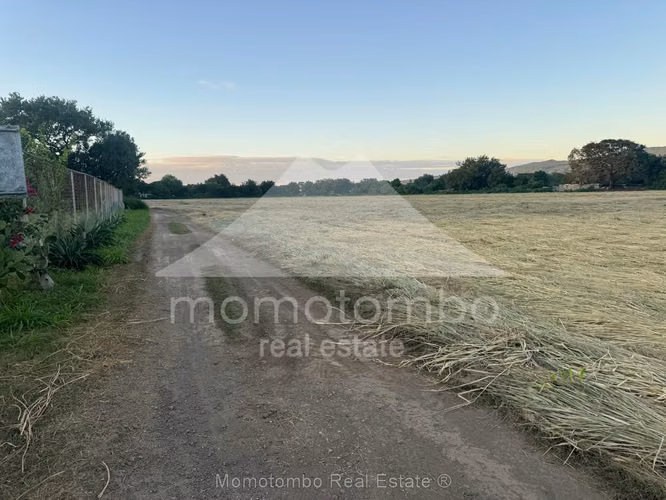 Terreno en Venta Carretera Nueva A Leon, Managua - Imagen 11