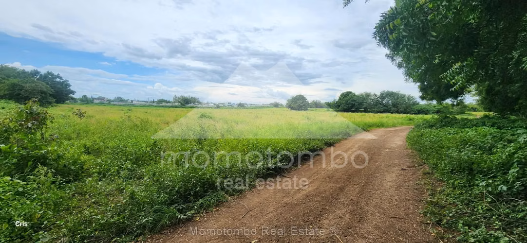 Land for Sale &amp; Rent Sabana Grande, Managua