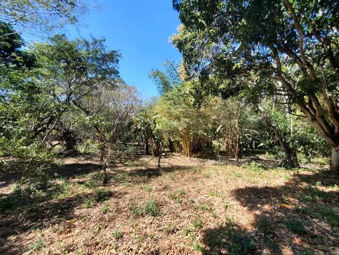 SL-Vendo finca en Carretera Tipitapa, Masaya 34.5