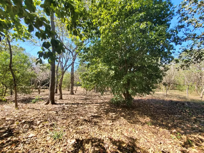 SL-Vendo finca en Carretera Tipitapa, Masaya 34.5