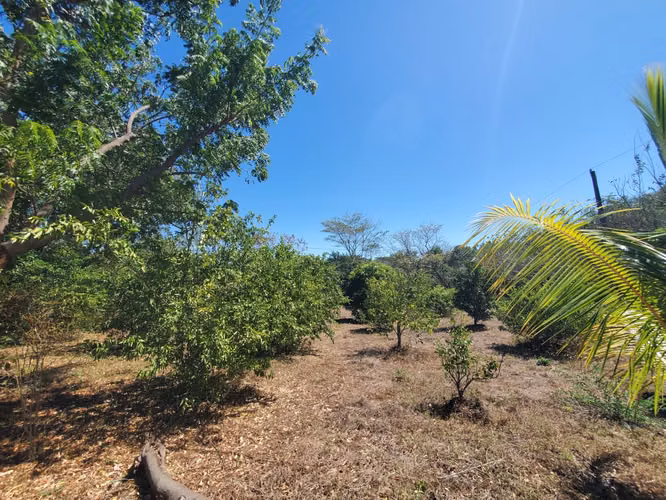 SL-Vendo finca en Carretera Tipitapa, Masaya 34.5