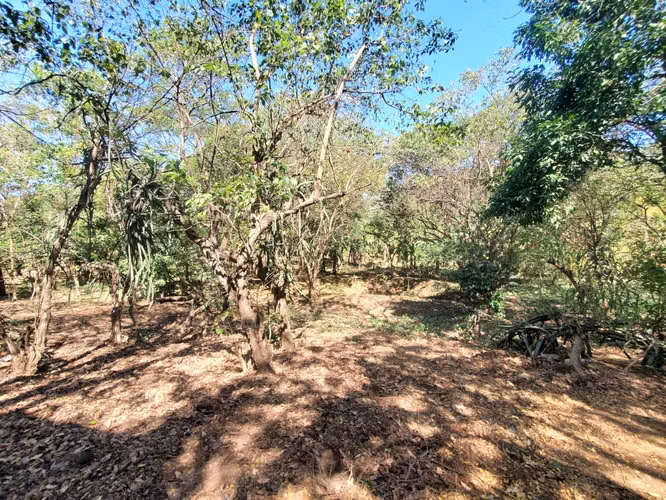 SL-Vendo finca en Carretera Tipitapa, Masaya 34.5