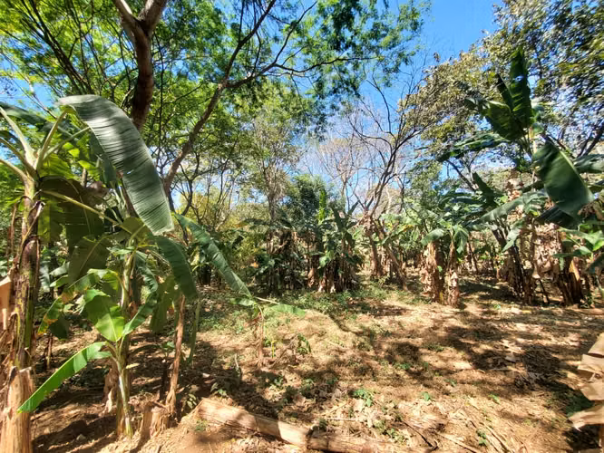 SL-Vendo finca en Carretera Tipitapa, Masaya 34.5