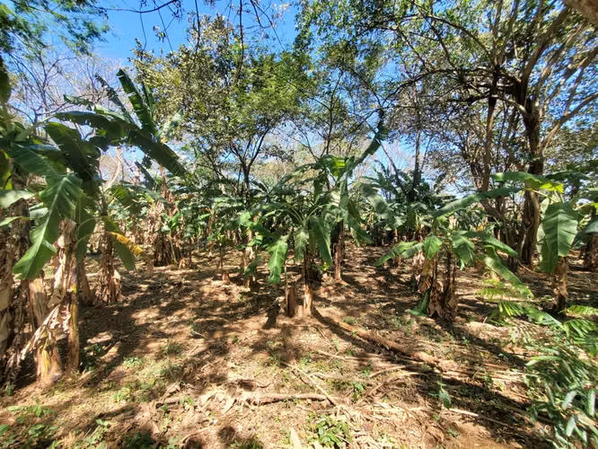 SL-Vendo finca en Carretera Tipitapa, Masaya 34.5