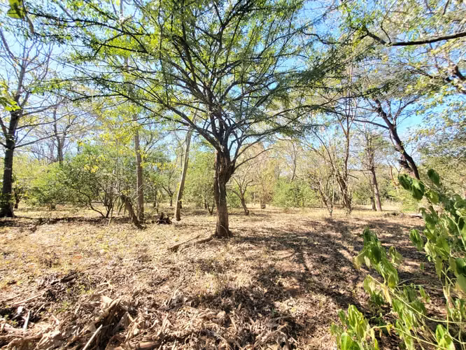 SL-Vendo finca en Carretera Tipitapa, Masaya 34.5