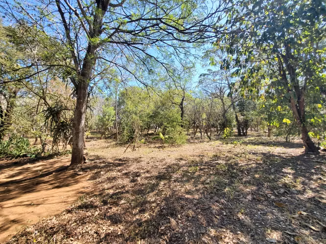 SL-Vendo finca en Carretera Tipitapa, Masaya 34.5