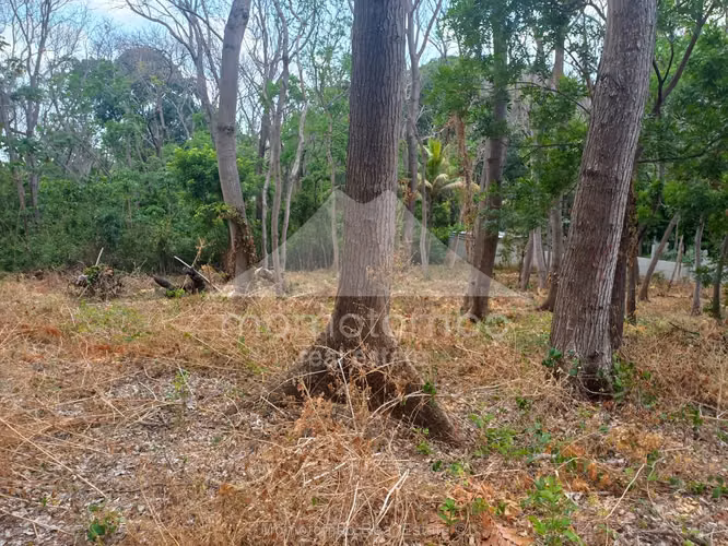 Terreno en Venta Carretera Sur, Managua