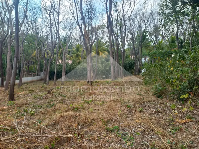 Terreno en Venta Carretera Sur, Managua