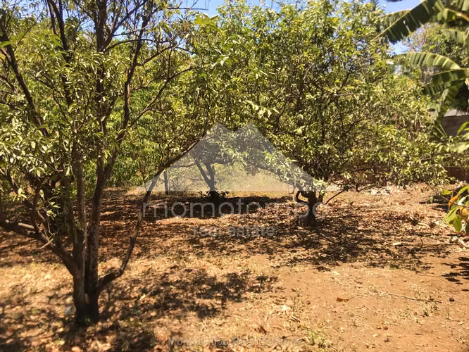 Terreno en Venta Carretera A Masaya, Managua - Imagen 6