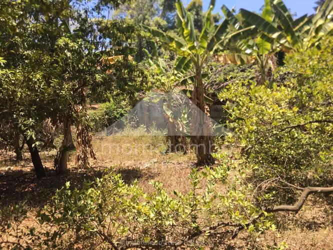 Terreno en Venta Carretera A Masaya, Managua - Imagen 13
