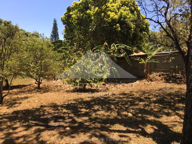 Terreno en Venta Carretera A Masaya, Managua - Imagen 3