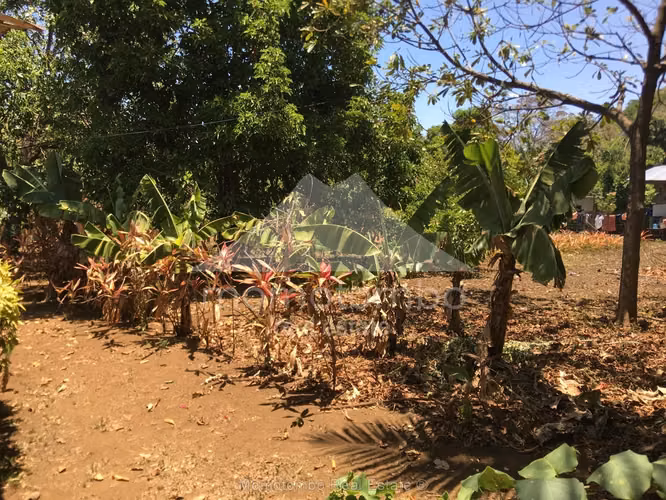 Terreno en Venta Carretera A Masaya, Managua - Imagen 15