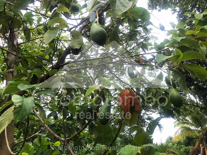 Terreno en Venta Carretera A Masaya, Managua