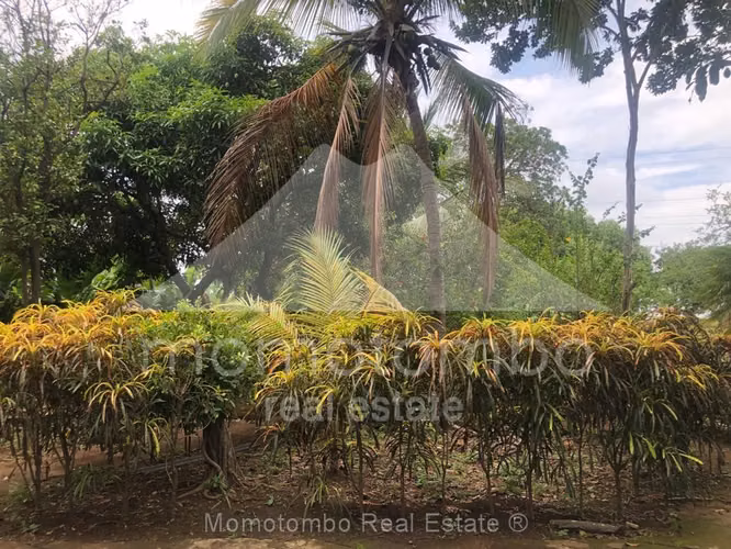 Terreno en Venta Carretera A Masaya, Managua