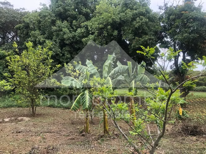 Terreno en Venta Carretera A Masaya, Managua
