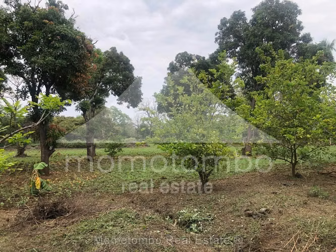 Terreno en Venta Carretera A Masaya, Managua