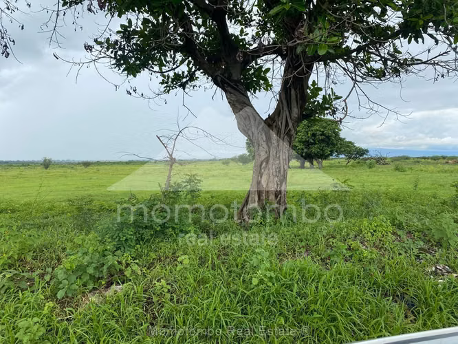 Finca en Venta Carretera Tipitapa Malacatoya, Managua