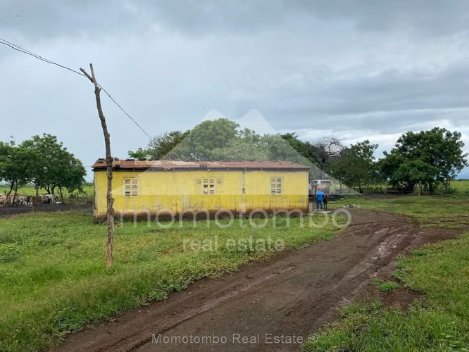 Finca en Venta Carretera Tipitapa Malacatoya, Managua