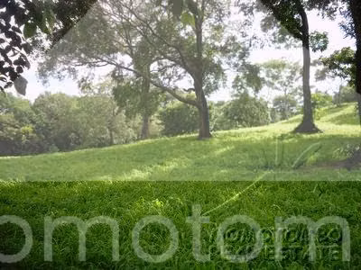 Terreno en Venta Carretera Sur, Managua - Imagen 3