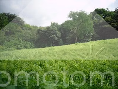 Terreno en Venta Carretera Sur, Managua - Imagen 5