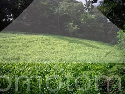 Terreno en Venta Carretera Sur, Managua - Imagen 2