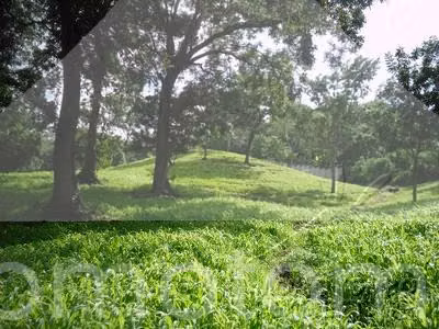 Land for Sale Carretera Sur, Managua