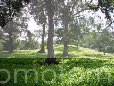Terreno en Venta Carretera Sur, Managua - Imagen 7